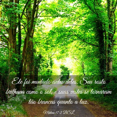 Picture 03 - Mateus 17:2 BSL - Ele foi mudado antes deles. Seu rosto brilhava - Bible Verse Picture