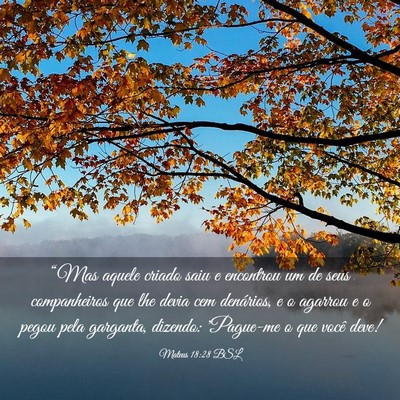 Picture 03 - Mateus 18:28 BSL - “Mas aquele criado saiu e encontrou um de seus - Bible Verse Picture