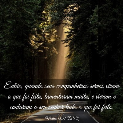 Picture 03 - Mateus 18:31 BSL - Então, quando seus companheiros servos viram o - Bible Verse Picture