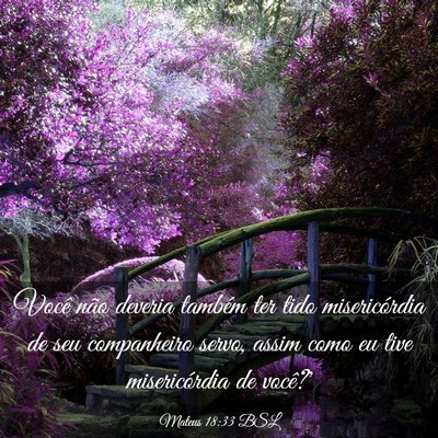Picture 03 - Mateus 18:33 BSL - Você não deveria também ter tido misericórdia - Bible Verse Picture