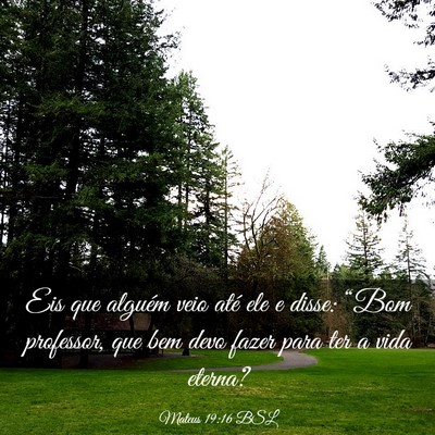 Picture 03 - Mateus 19:16 BSL - Eis que alguém veio até ele e disse: “Bom - Bible Verse Picture