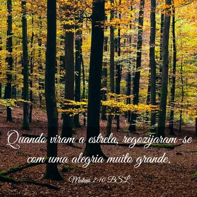 Picture 03 - Mateus 2:10 BSL - Quando viram a estrela, regozijaram-se com uma - Bible Verse Picture
