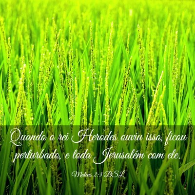 Picture 03 - Mateus 2:3 BSL - Quando o rei Herodes ouviu isso, ficou - Bible Verse Picture