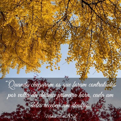Picture 03 - Mateus 20:9 BSL - “Quando chegaram os que foram contratados por - Bible Verse Picture