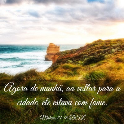 Picture 03 - Mateus 21:18 BSL - Agora de manhã, ao voltar para a cidade, ele - Bible Verse Picture