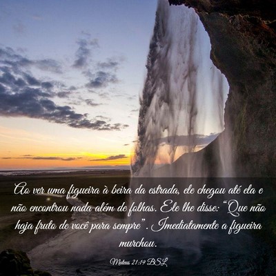 Picture 03 - Mateus 21:19 BSL - Ao ver uma figueira à beira da estrada, ele - Bible Verse Picture