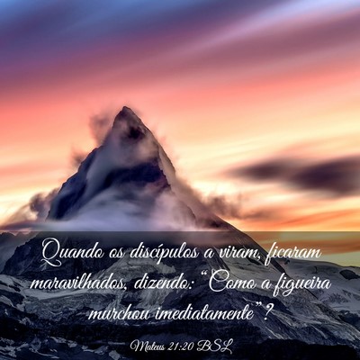 Picture 03 - Mateus 21:20 BSL - Quando os discípulos a viram, ficaram - Bible Verse Picture