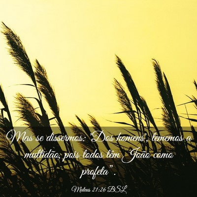 Picture 03 - Mateus 21:26 BSL - Mas se dissermos: 'Dos homens', tememos a - Bible Verse Picture
