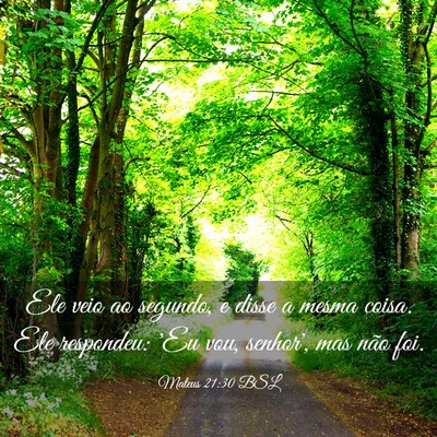 Picture 03 - Mateus 21:30 BSL - Ele veio ao segundo, e disse a mesma coisa. Ele - Bible Verse Picture