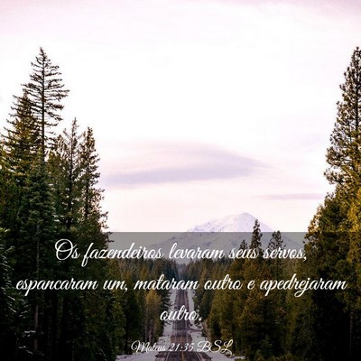 Picture 03 - Mateus 21:35 BSL - Os fazendeiros levaram seus servos, espancaram - Bible Verse Picture