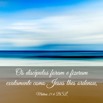 Picture 03 - Mateus 21:6 BSL - Os discípulos foram e fizeram exatamente como - Bible Verse Picture