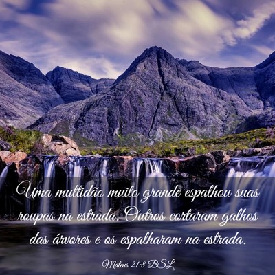 Picture 03 - Mateus 21:8 BSL - Uma multidão muito grande espalhou suas roupas - Bible Verse Picture
