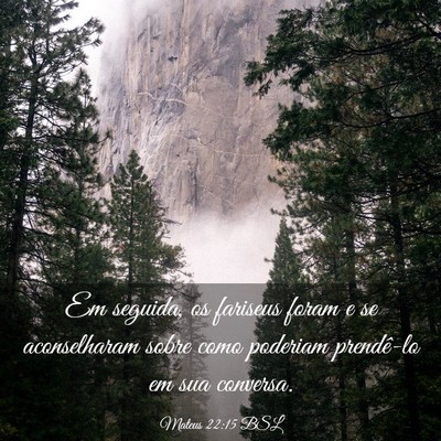 Picture 03 - Mateus 22:15 BSL - Em seguida, os fariseus foram e se aconselharam - Bible Verse Picture