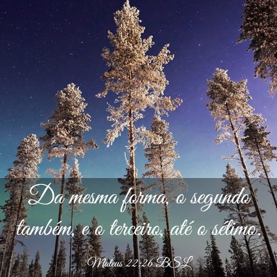 Picture 03 - Mateus 22:26 BSL - Da mesma forma, o segundo também, e o terceiro, - Bible Verse Picture