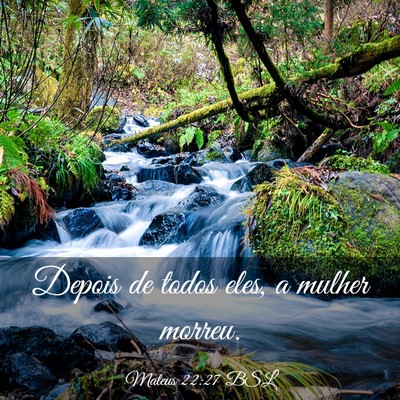 Picture 03 - Mateus 22:27 BSL - Depois de todos eles, a mulher - Bible Verse Picture