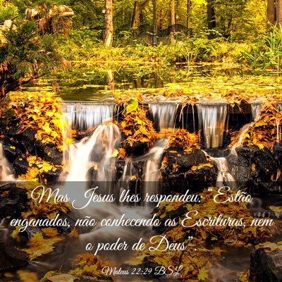 Picture 03 - Mateus 22:29 BSL - Mas Jesus lhes respondeu: “Estão enganados, - Bible Verse Picture