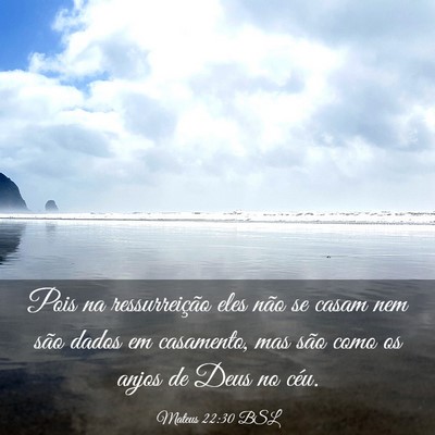 Picture 03 - Mateus 22:30 BSL - Pois na ressurreição eles não se casam nem - Bible Verse Picture