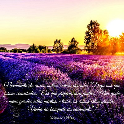 Picture 03 - Mateus 22:4 BSL - Novamente ele enviou outros servos, dizendo: - Bible Verse Picture