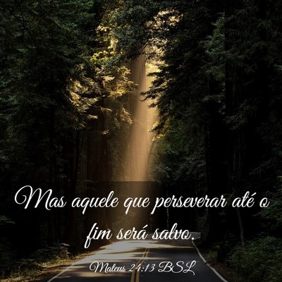 Picture 03 - Mateus 24:13 BSL - Mas aquele que perseverar até o fim será - Bible Verse Picture