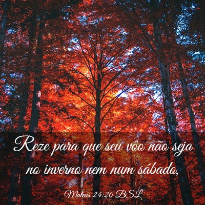 Picture 03 - Mateus 24:20 BSL - Reze para que seu vôo não seja no inverno nem - Bible Verse Picture