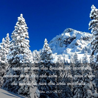Picture 03 - Mateus 24:22 BSL - A menos que esses dias tivessem sido encurtados, - Bible Verse Picture