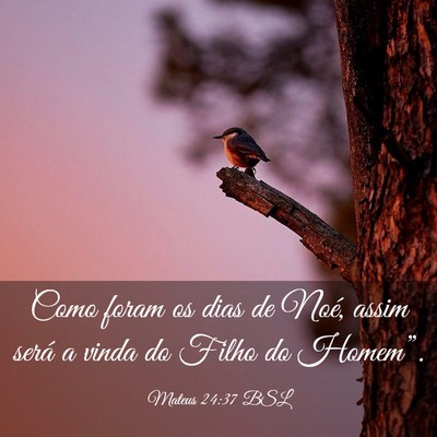 Picture 03 - Mateus 24:37 BSL - Como foram os dias de Noé, assim será a vinda - Bible Verse Picture
