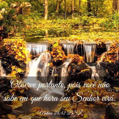 Picture 03 - Mateus 24:42 BSL - Observe portanto, pois você não sabe em que - Bible Verse Picture
