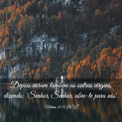 Picture 03 - Mateus 25:11 BSL - Depois vieram também as outras virgens, dizendo: - Bible Verse Picture