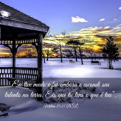 Picture 03 - Mateus 25:25 BSL - Eu tive medo e fui embora e escondi seu talento - Bible Verse Picture