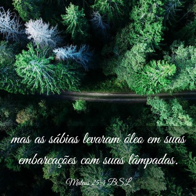 Picture 03 - Mateus 25:4 BSL - mas as sábias levaram óleo em suas - Bible Verse Picture