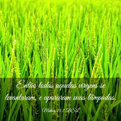 Picture 03 - Mateus 25:7 BSL - Então todas aquelas virgens se levantaram, e - Bible Verse Picture