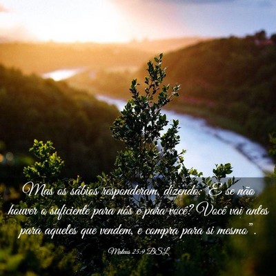 Picture 03 - Mateus 25:9 BSL - Mas os sábios responderam, dizendo: 'E se não - Bible Verse Picture