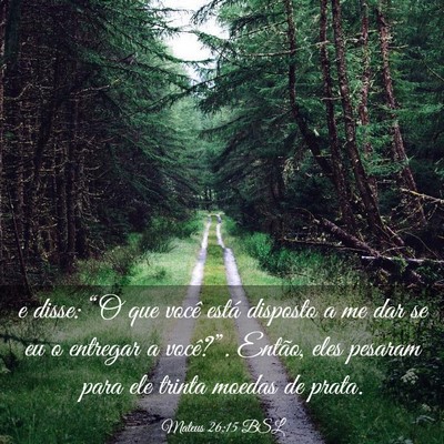 Picture 03 - Mateus 26:15 BSL - e disse: “O que você está disposto a me dar - Bible Verse Picture
