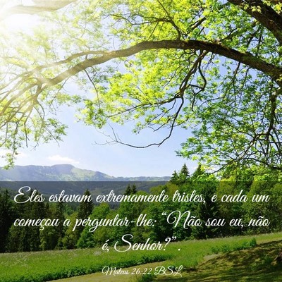 Picture 03 - Mateus 26:22 BSL - Eles estavam extremamente tristes, e cada um - Bible Verse Picture
