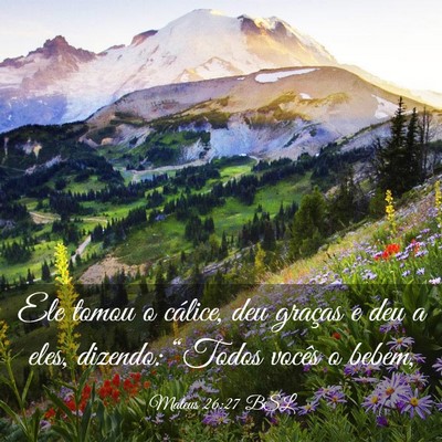 Picture 03 - Mateus 26:27 BSL - Ele tomou o cálice, deu graças e deu a eles, - Bible Verse Picture