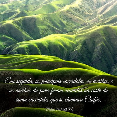 Picture 03 - Mateus 26:3 BSL - Em seguida, os principais sacerdotes, os escribas - Bible Verse Picture
