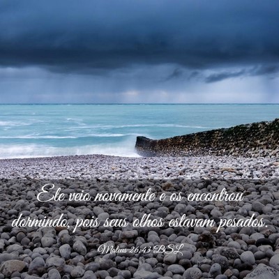 Picture 03 - Mateus 26:43 BSL - Ele veio novamente e os encontrou dormindo, pois - Bible Verse Picture