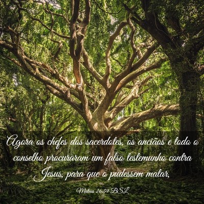 Picture 03 - Mateus 26:59 BSL - Agora os chefes dos sacerdotes, os anciãos e - Bible Verse Picture