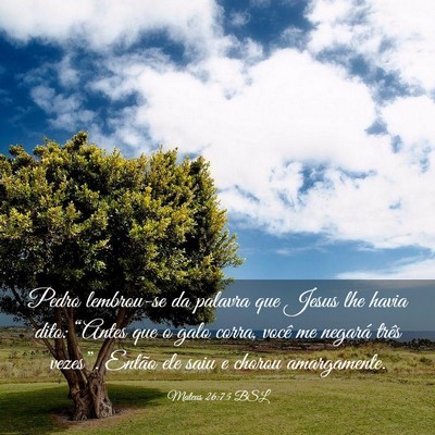 Picture 03 - Mateus 26:75 BSL - Pedro lembrou-se da palavra que Jesus lhe havia - Bible Verse Picture