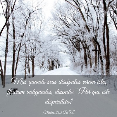 Picture 03 - Mateus 26:8 BSL - Mas quando seus discípulos viram isto, ficaram - Bible Verse Picture