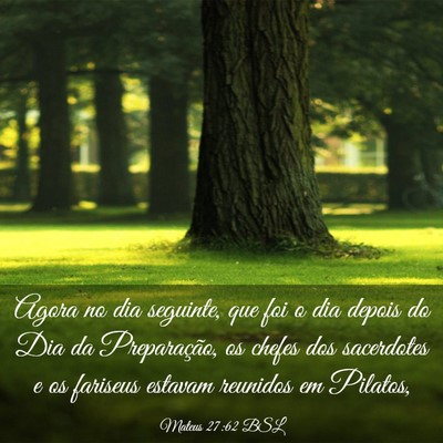 Picture 03 - Mateus 27:62 BSL - Agora no dia seguinte, que foi o dia depois do - Bible Verse Picture