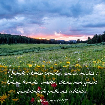 Picture 03 - Mateus 28:12 BSL - Quando estavam reunidos com os anciãos e tinham - Bible Verse Picture