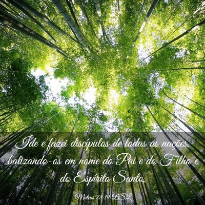 Picture 03 - Mateus 28:19 BSL - Ide e fazei discípulos de todas as nações, - Bible Verse Picture