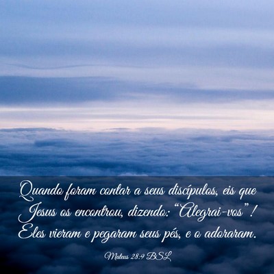 Picture 03 - Mateus 28:9 BSL - Quando foram contar a seus discípulos, eis que - Bible Verse Picture