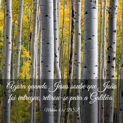 Picture 03 - Mateus 4:12 BSL - Agora quando Jesus soube que João foi entregue, - Bible Verse Picture