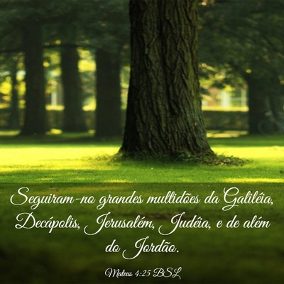 Picture 03 - Mateus 4:25 BSL - Seguiram-no grandes multidões da Galiléia, - Bible Verse Picture