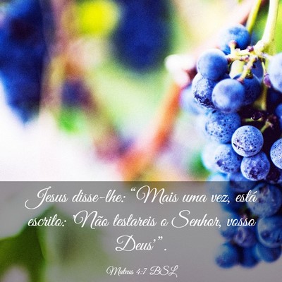 Picture 03 - Mateus 4:7 BSL - Jesus disse-lhe: “Mais uma vez, está escrito: - Bible Verse Picture