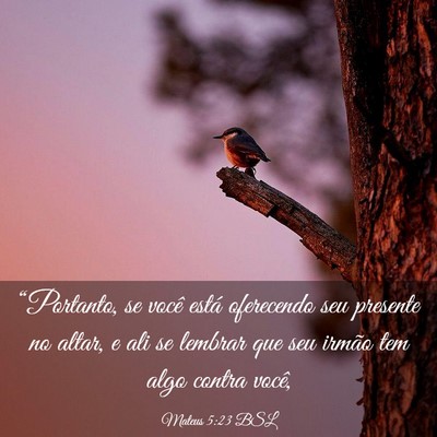 Picture 03 - Mateus 5:23 BSL - “Portanto, se você está oferecendo seu - Bible Verse Picture