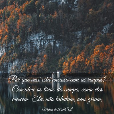 Picture 03 - Mateus 6:28 BSL - Por que você está ansioso com as roupas? - Bible Verse Picture
