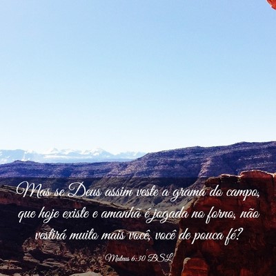 Picture 03 - Mateus 6:30 BSL - Mas se Deus assim veste a grama do campo, que - Bible Verse Picture